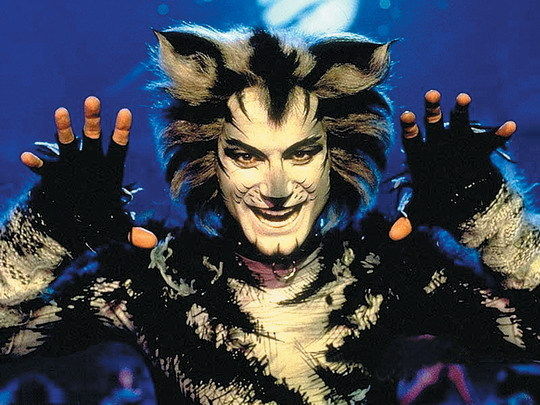 Cats Film