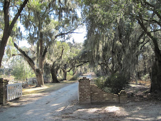 country lane