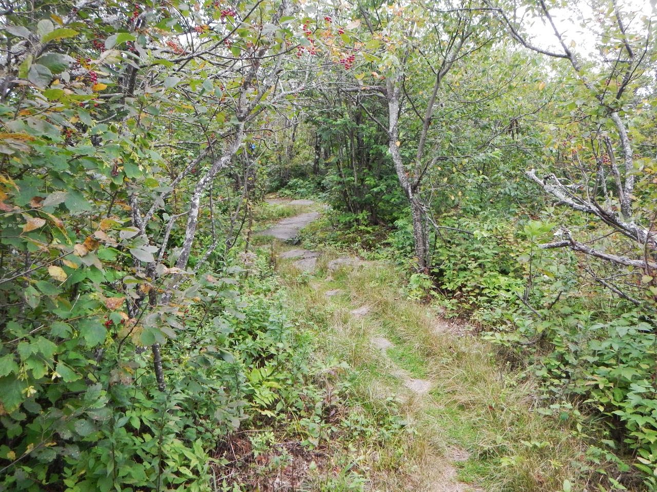 NJ/NY Hikes Catskills Windham, Blackhead, Black Dome, Thomas Cole