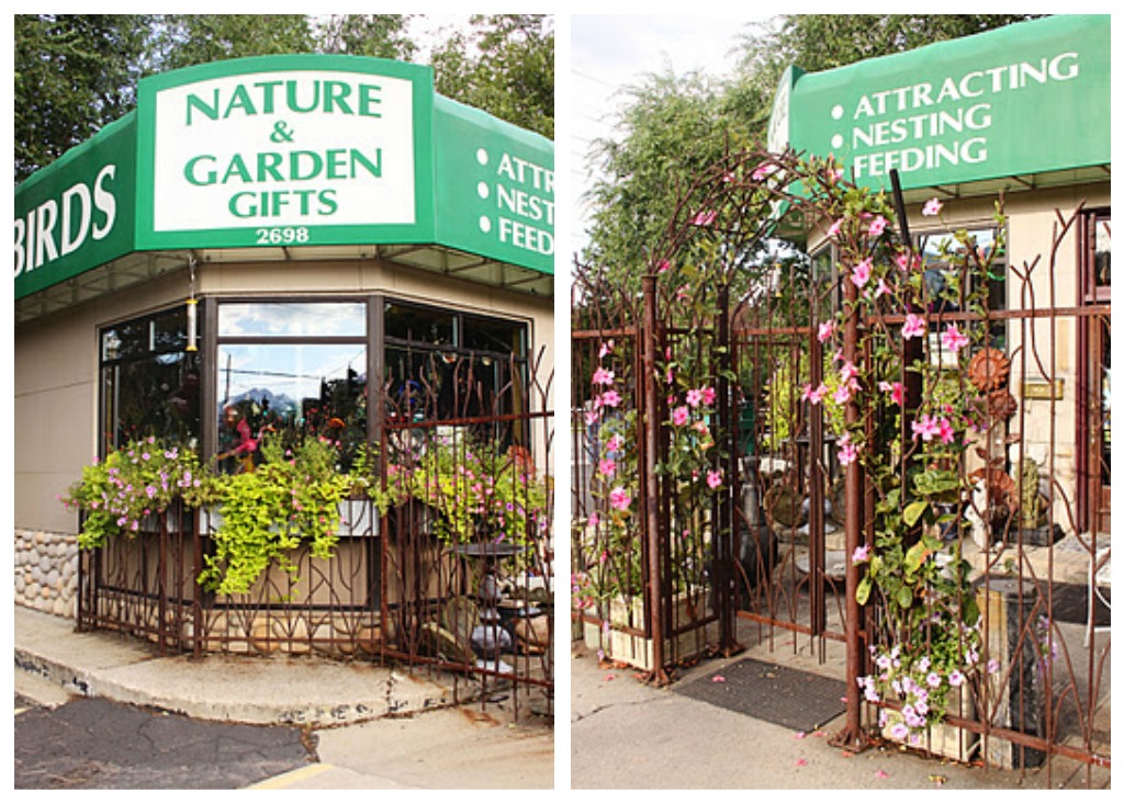 Backyard Birds Salt Lake City Backyard Ideas