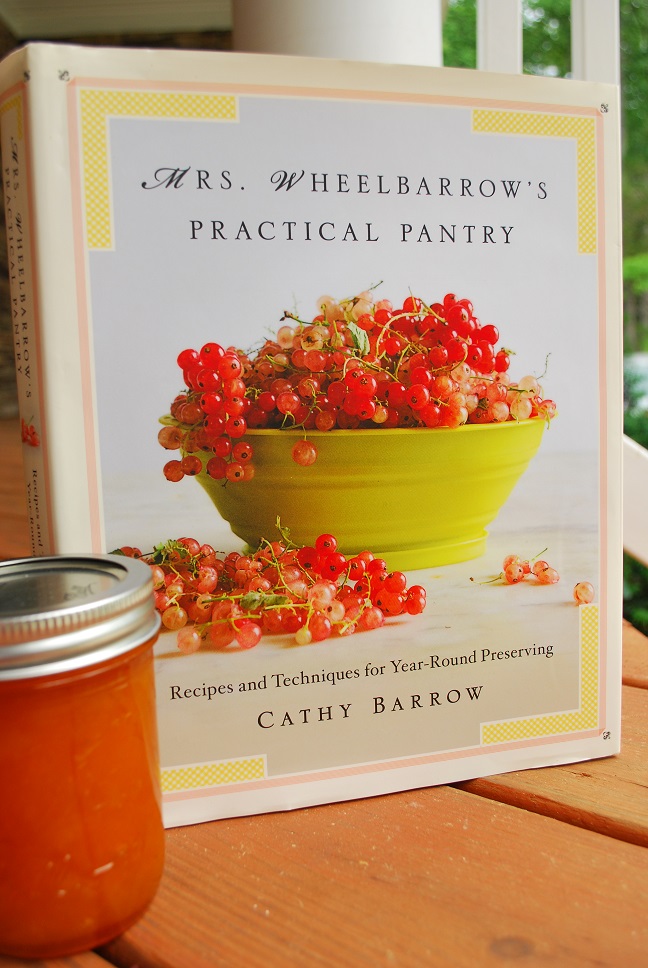 Just the Right Size Ginger Apricot Jam