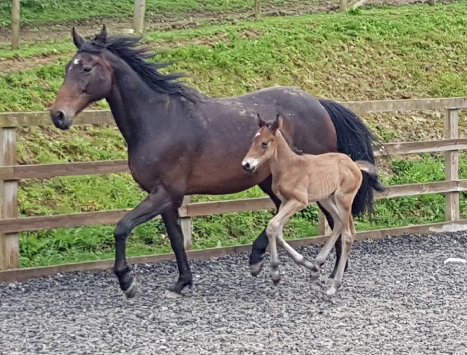 Franc, a few days old