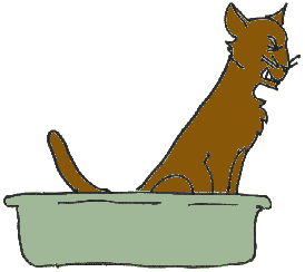 Lap Of Love Veterinary Hospice Cat Peeing Outside The Box What