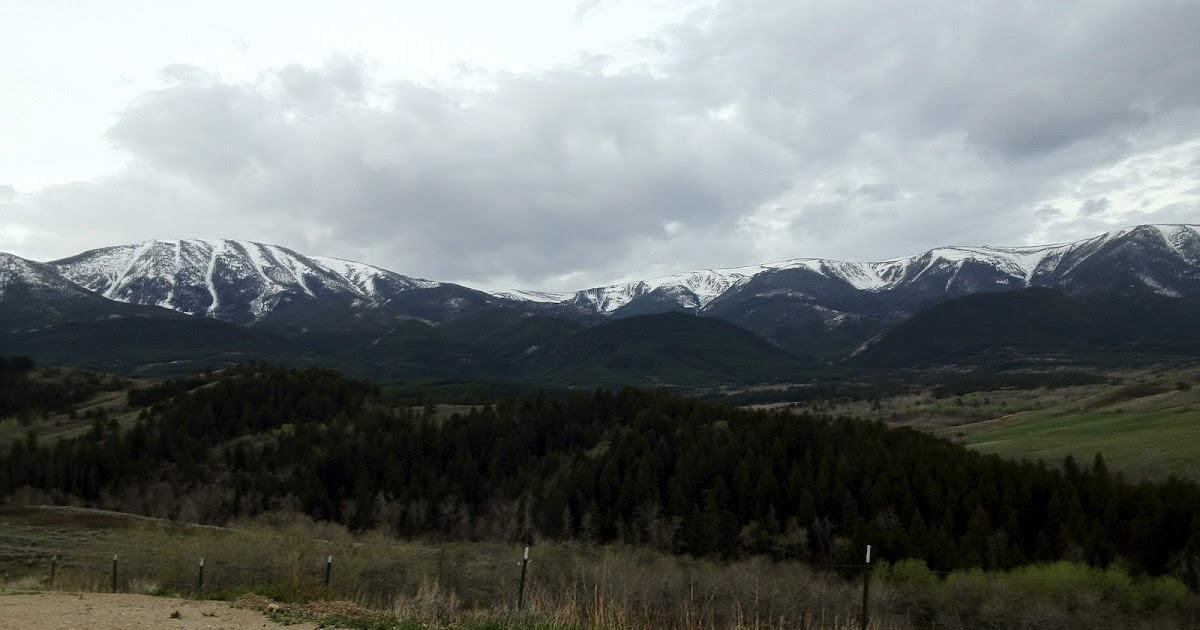 Lunch Club Grizzly Bar (Roscoe, Montana)