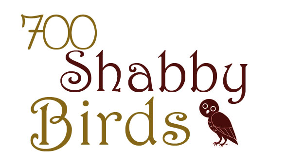 700 shabby birds