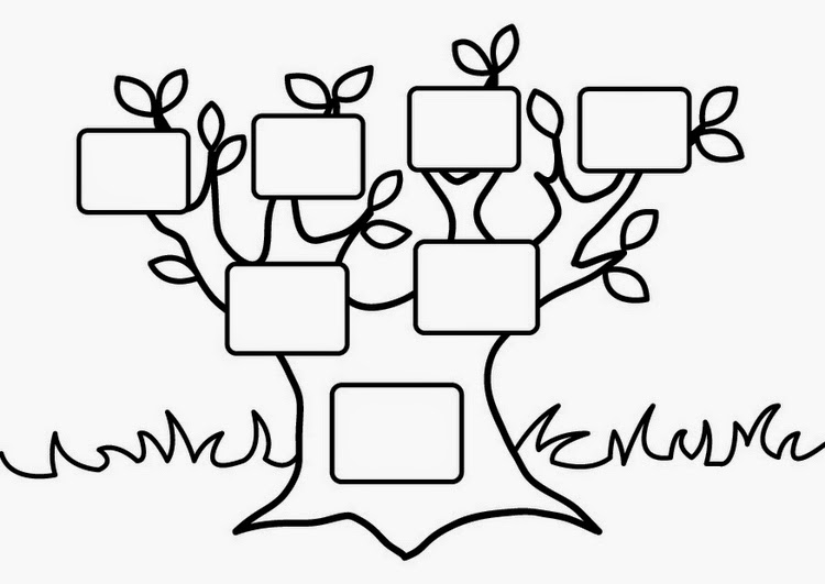 my family english experience color family tree