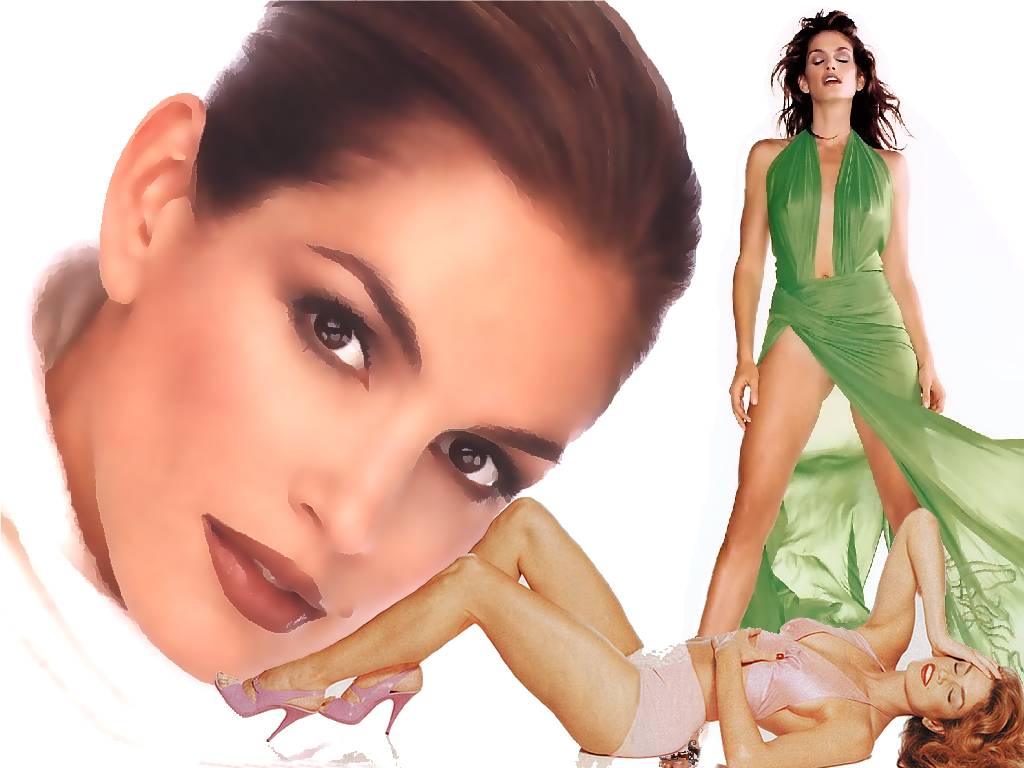 http://4.bp.blogspot.com/-8QHT4-yrjYg/ToNlcxrQxFI/AAAAAAAABv0/ps1S44DdaNY/s1600/cindy_crawford_11.jpg