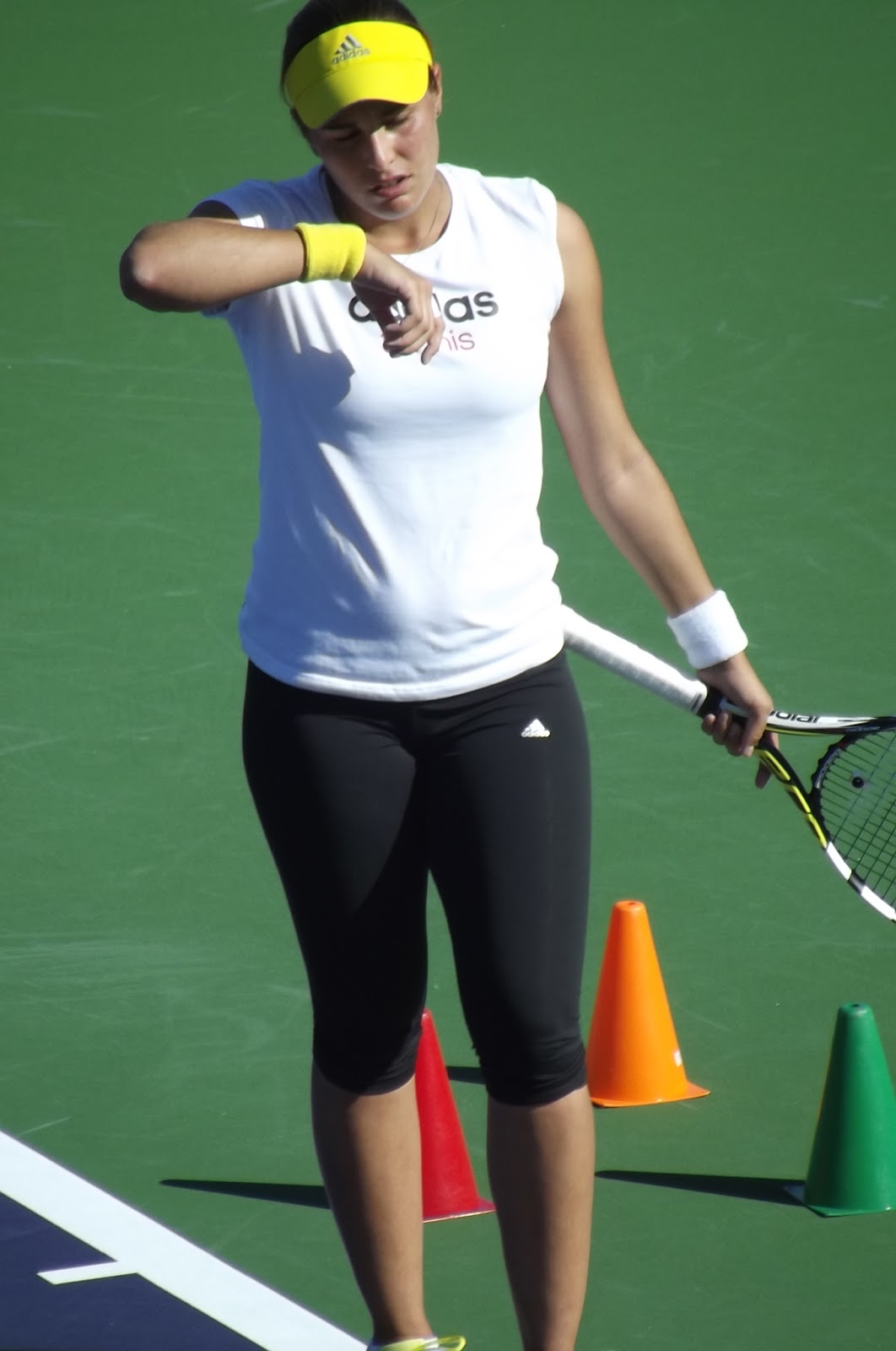 2013IWPQsemiFRI+093.JPG