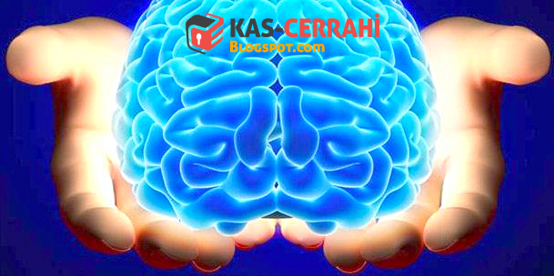Пройти безатно тест на iq
