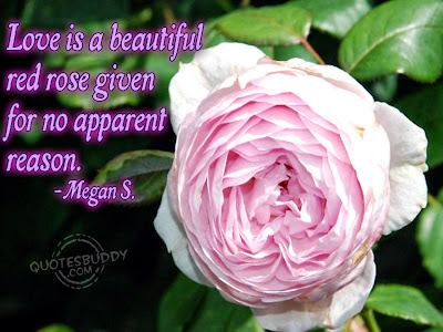 Love Quotation Love Quotation