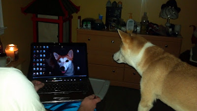 The Zelda on a Computer