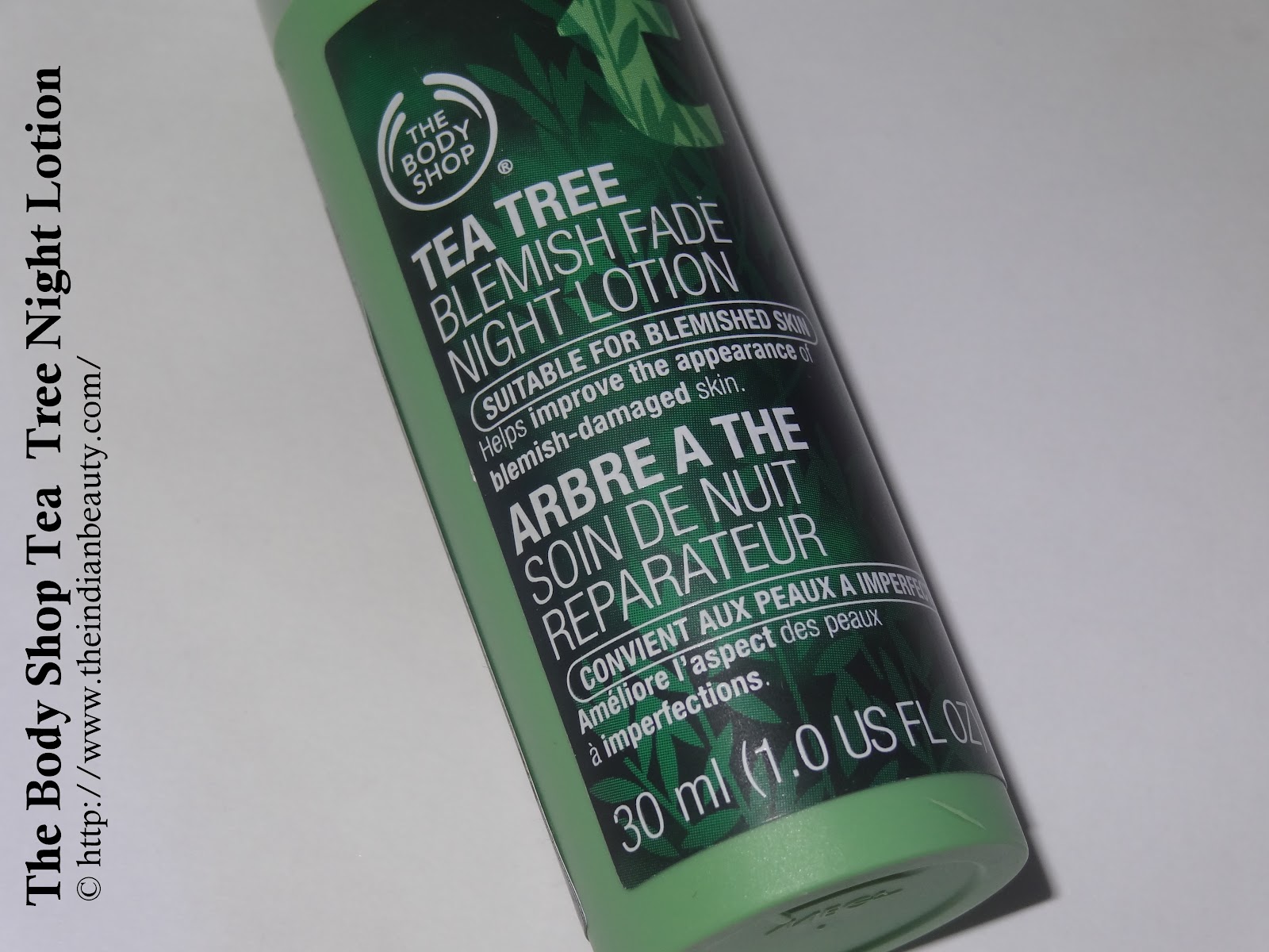 festival rencontre entre les mondes 2009