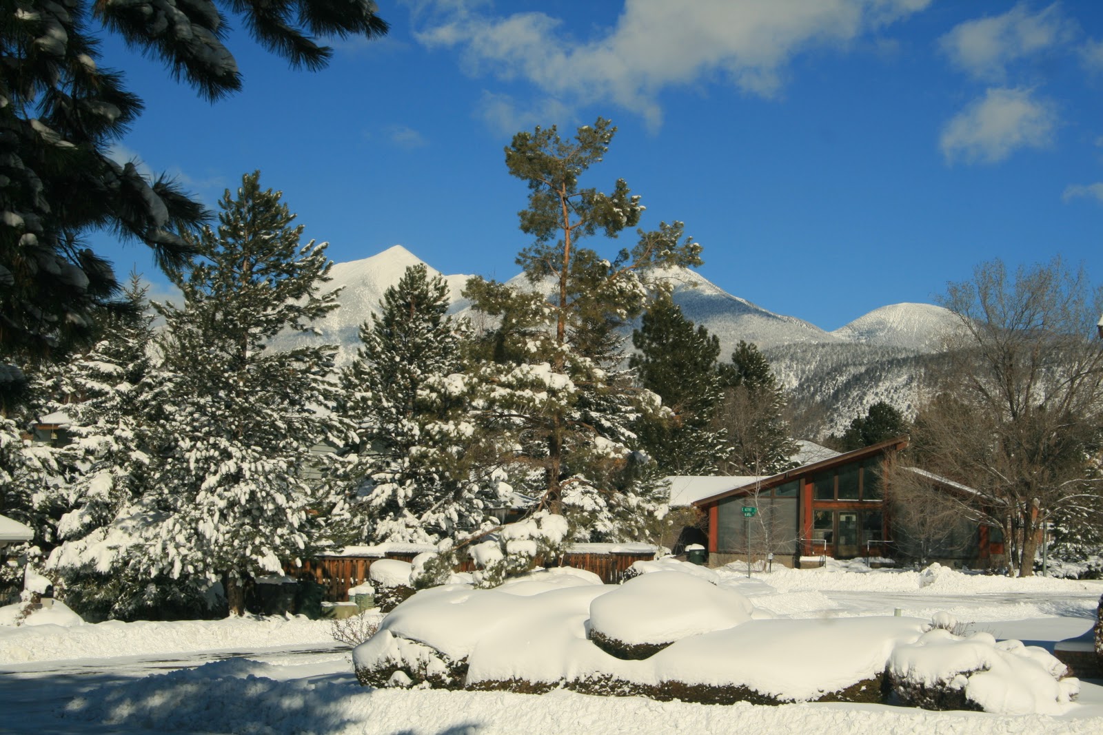 Earthly Musings Wayne Ranney's Geology Blog Earthquakes in Flagstaff?