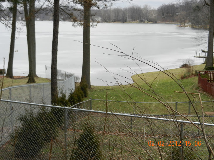 This is the South end of Brady Lake,where the overflow is caved in.