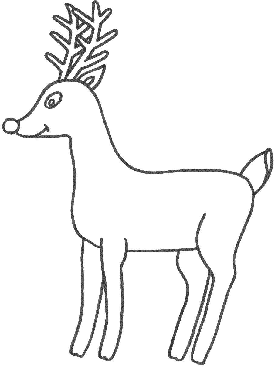Deer Bcoloring Bpictures B