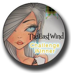 Winner at The East Wind Challenge #50