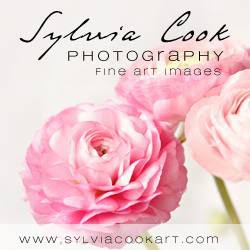 Sylvia Cook Photography