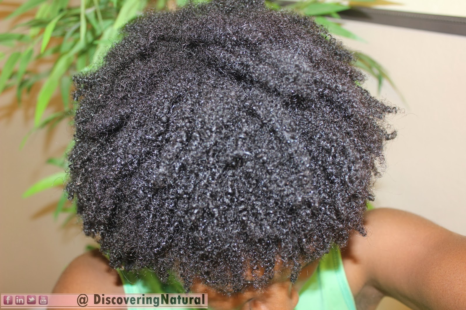 Discoveringnatural What Is Your Natural Hair Type