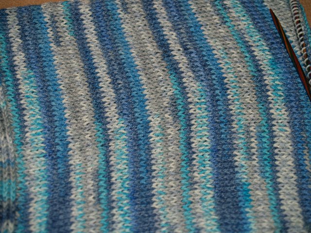 Bild