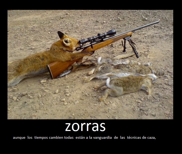 FOTOS DE MUY ZORRAS fotos de muy zorras: