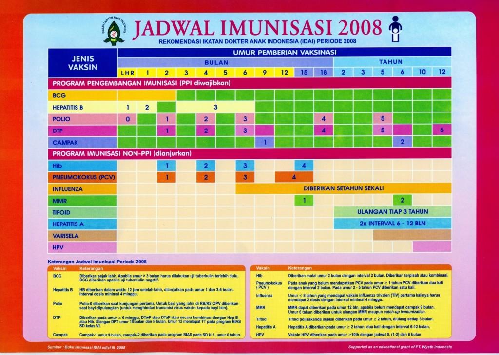 Puskesmas Perawatan Rimbo Bujang IX Lima Imunisasi Dasar