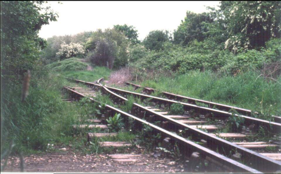 Junction at Oakdene Woods