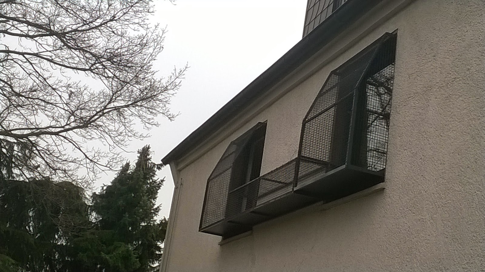 Katzennetz NRW die Adresse für ein Katzennetz: Katzenbalkon - Das