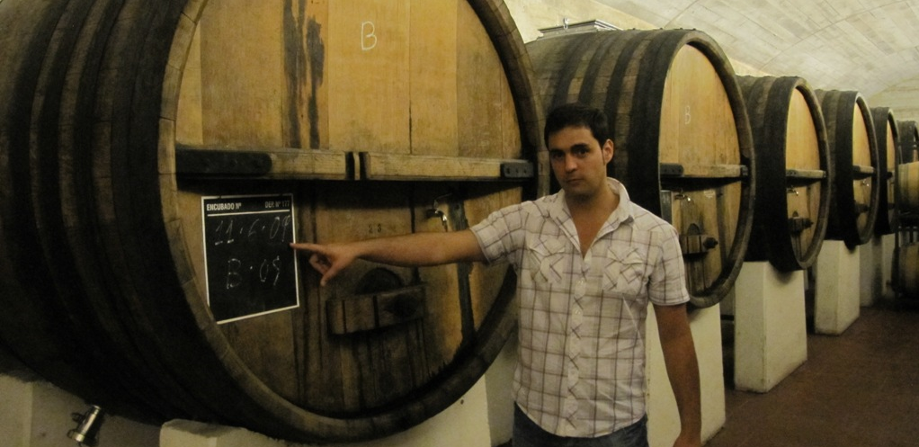 VINOS RIOJA MUGA vinos rioja muga: