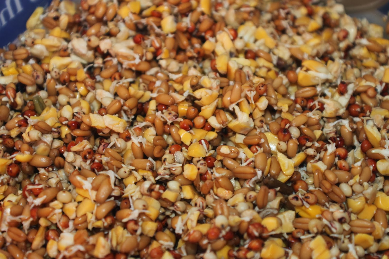 Easy Living the Hard Way Sprouting Seeds For the Chickens