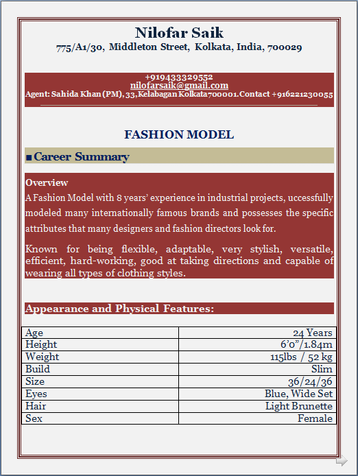 modelling resume