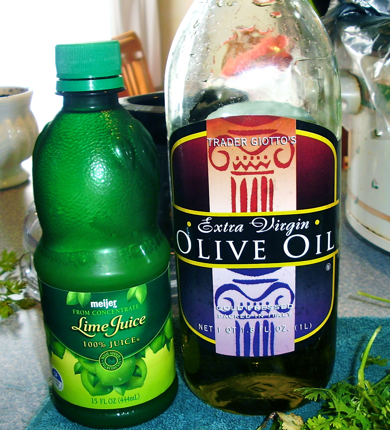 Ramblings of a Happy Homemaker Cilantro Sauce