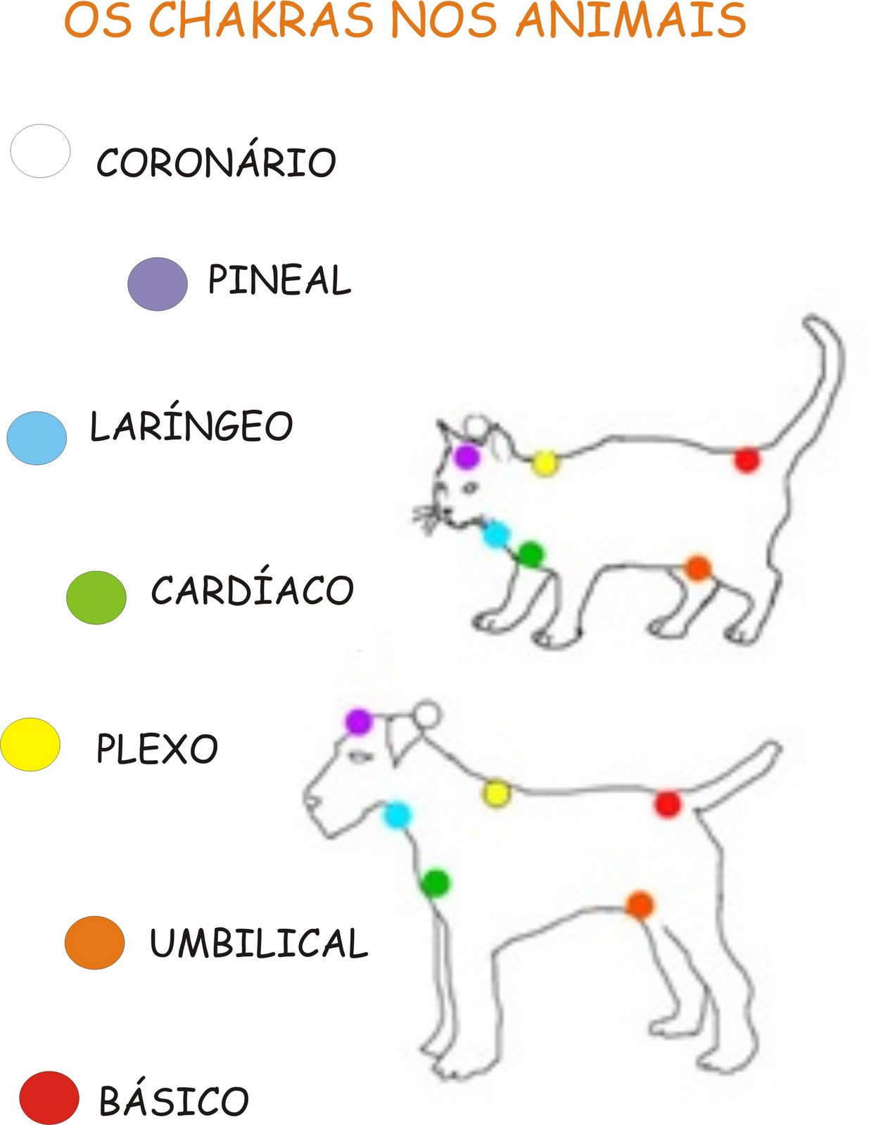 Resultado de imagem para chakras de animais