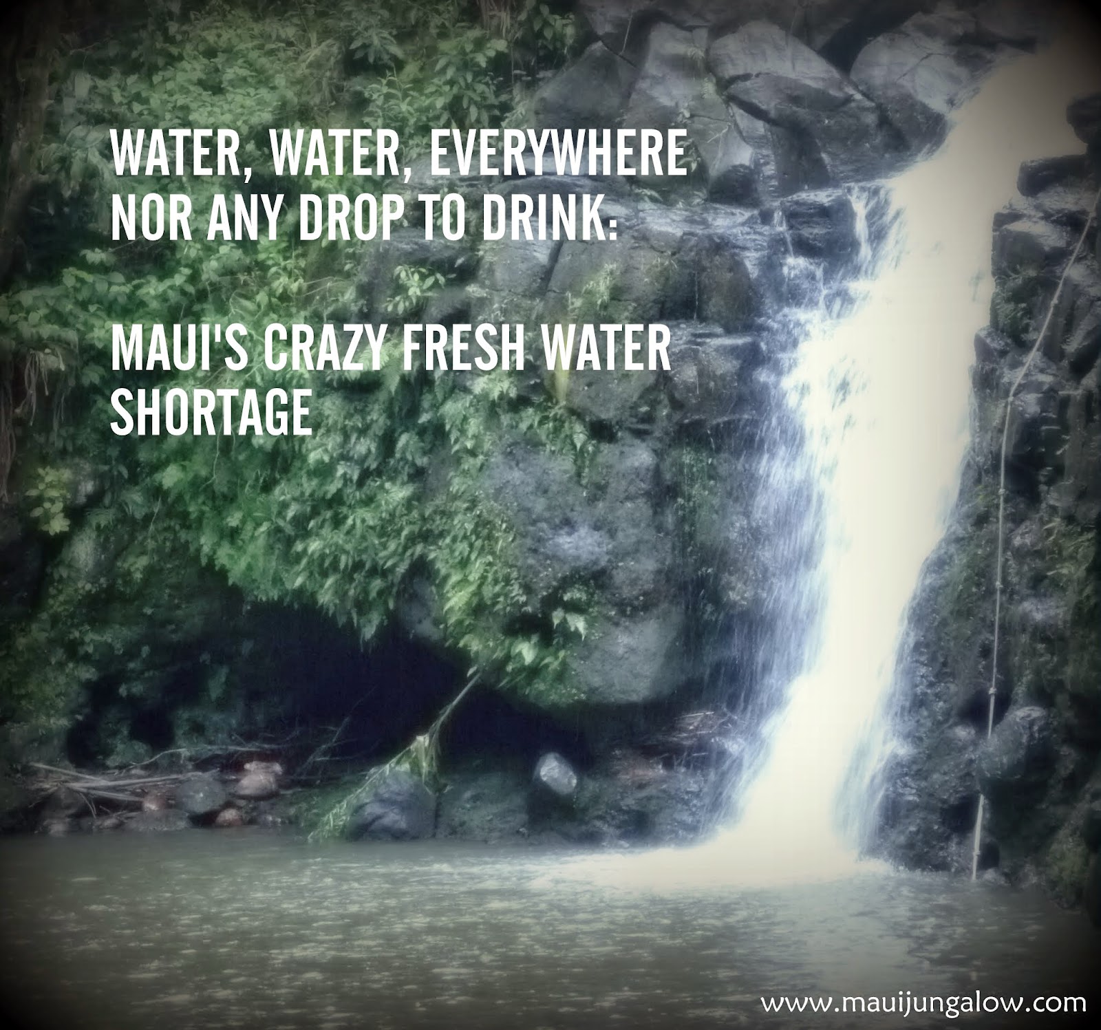 Maui Jungalow Water, Water, Everywhere, Nor Any Drop To Drink Maui's