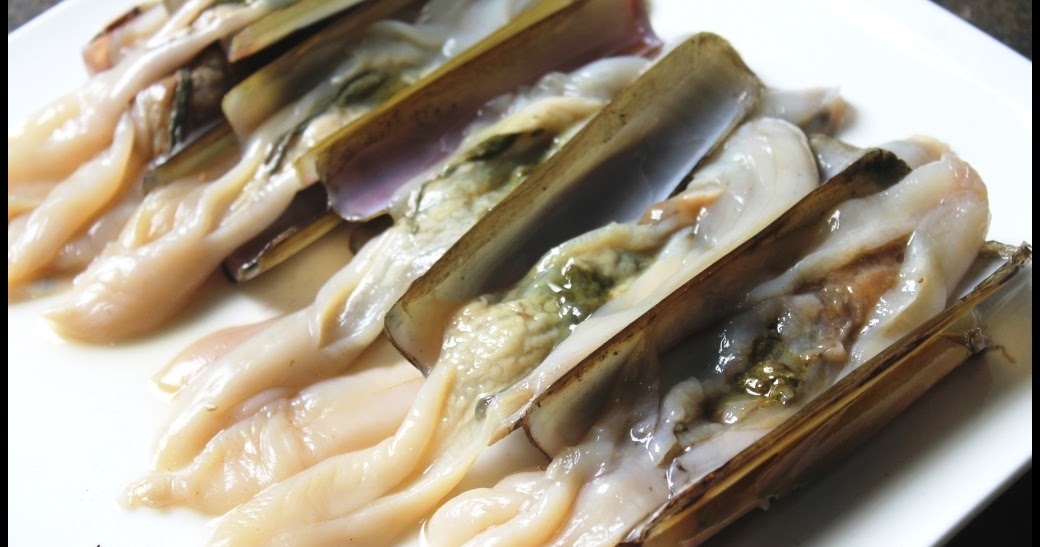 manfaat kerang bambu untuk kesehatan shop miss cha manfaat kerang bambu untuk kesehatan shop miss cha