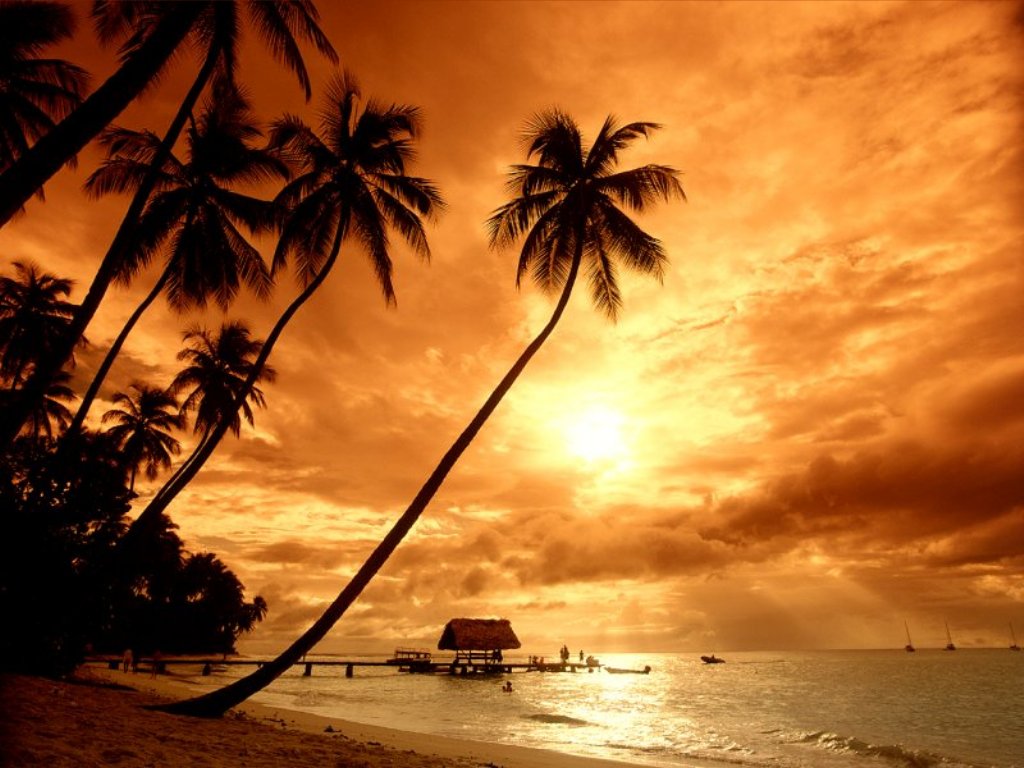Beautiful Sun Set Sun Set
