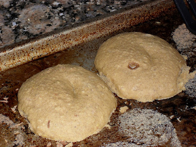 Don't insult them! Pale, flattened pumpkin doughnuts.