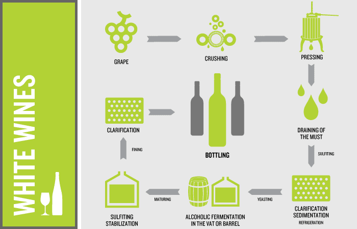 Wine Making Process Chart