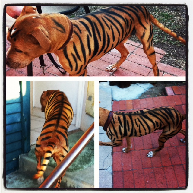 LOWMAN KUSTOMS Airbrush body and face painting 2011