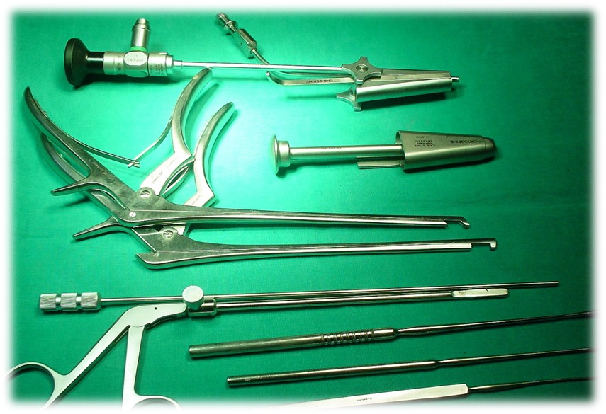 Endoscopic Spine Surgery Why interlaminar?Why Destandau Techniques?