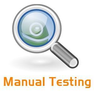 manual testing interview questions
