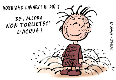 http://4.bp.blogspot.com/-8W78HuuT-9c/Tc2kynrup3I/AAAAAAAACs8/I4fP1a1AzhE/s400/TOMAS_494b.jpg