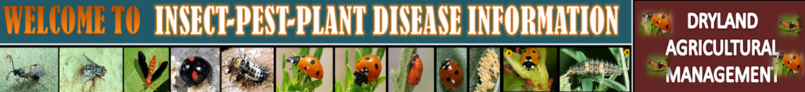 INSECT - PEST - PLANT DISEASES INFO