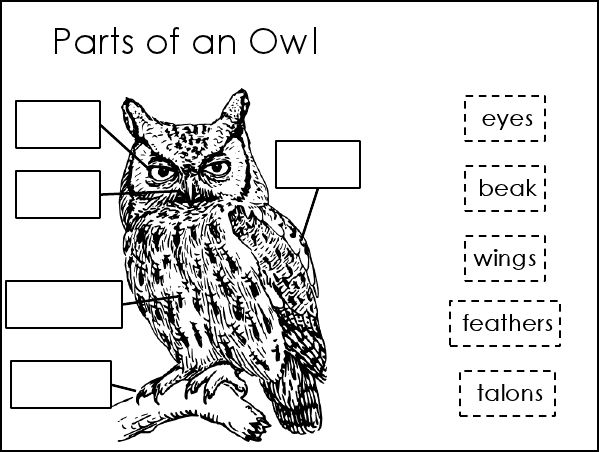 I³: Imagine. Inspire. Innovate.: Oh My Goodness...and Some Random Freebies
