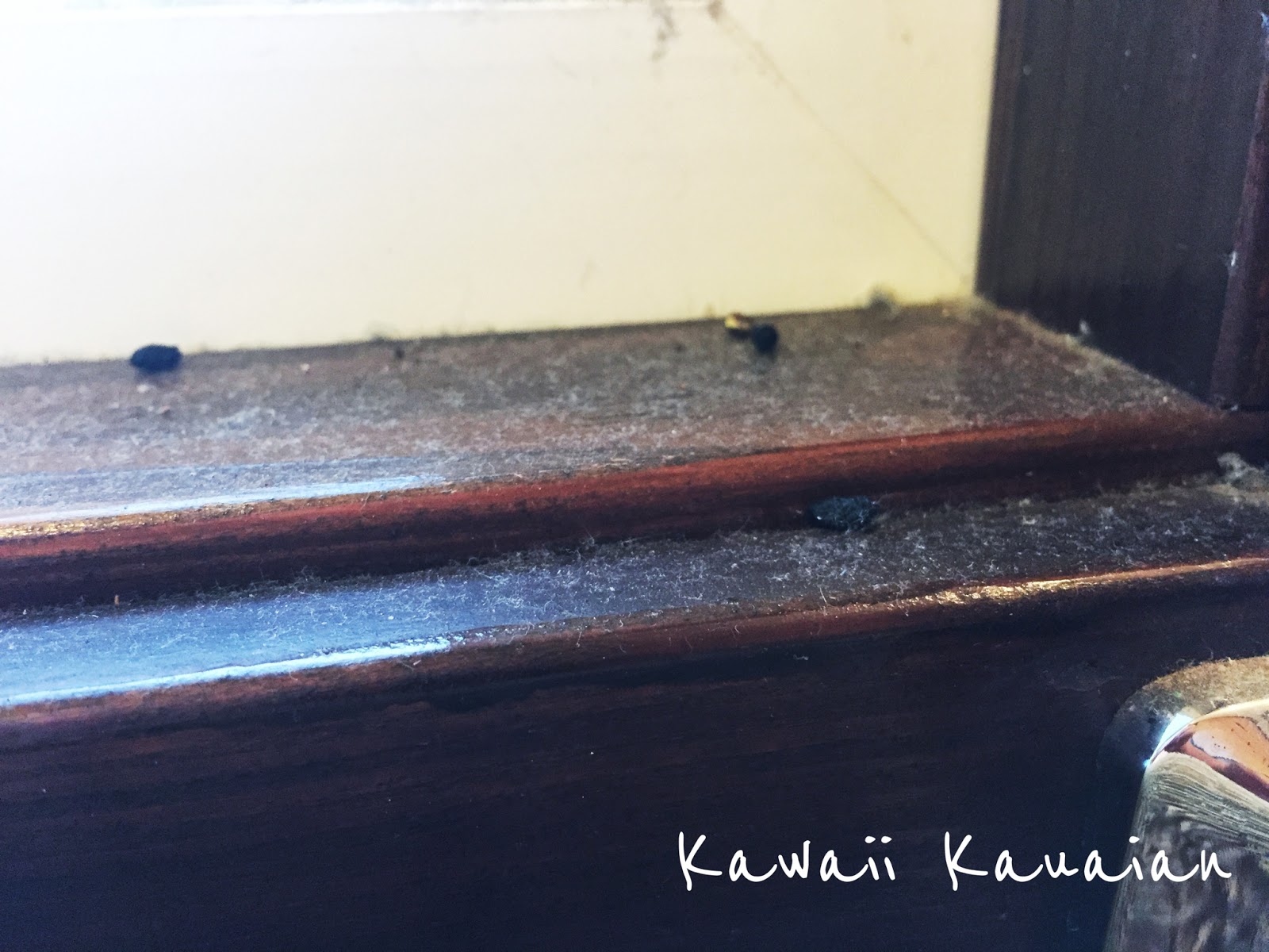 The Rat Saga Kawaii Kauaian