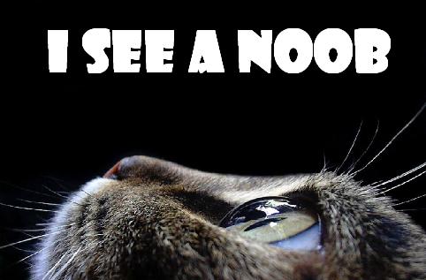 Noob_3101248.jpg