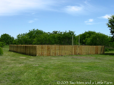 Two Men and a Little Farm: May 2013