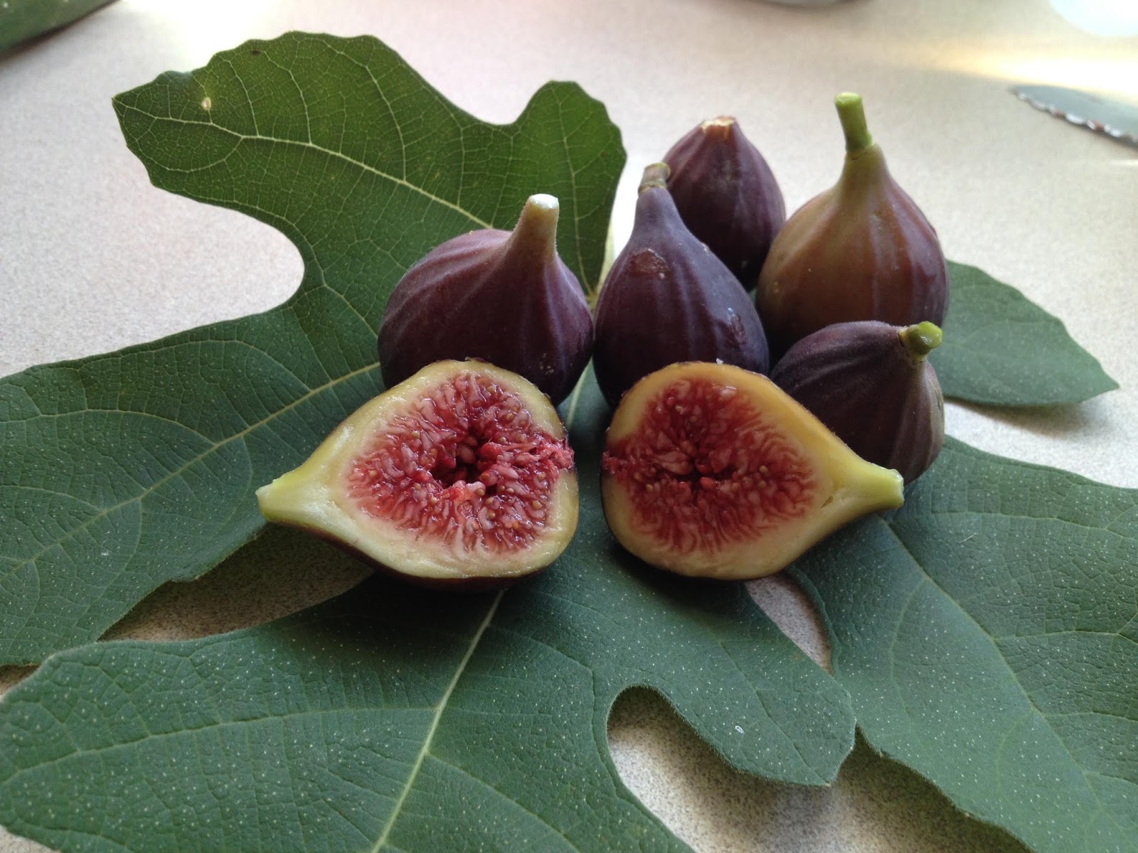 figs fruit DriverLayer Search Engine