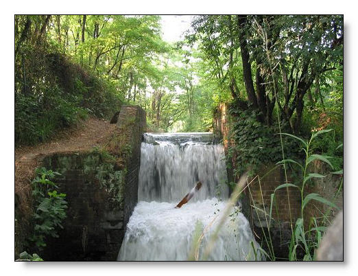 Villa Arconati Eventi Agosto Mangiare Nel Parco Villa Arconati Eventi Agosto Mangiare Nel Parco