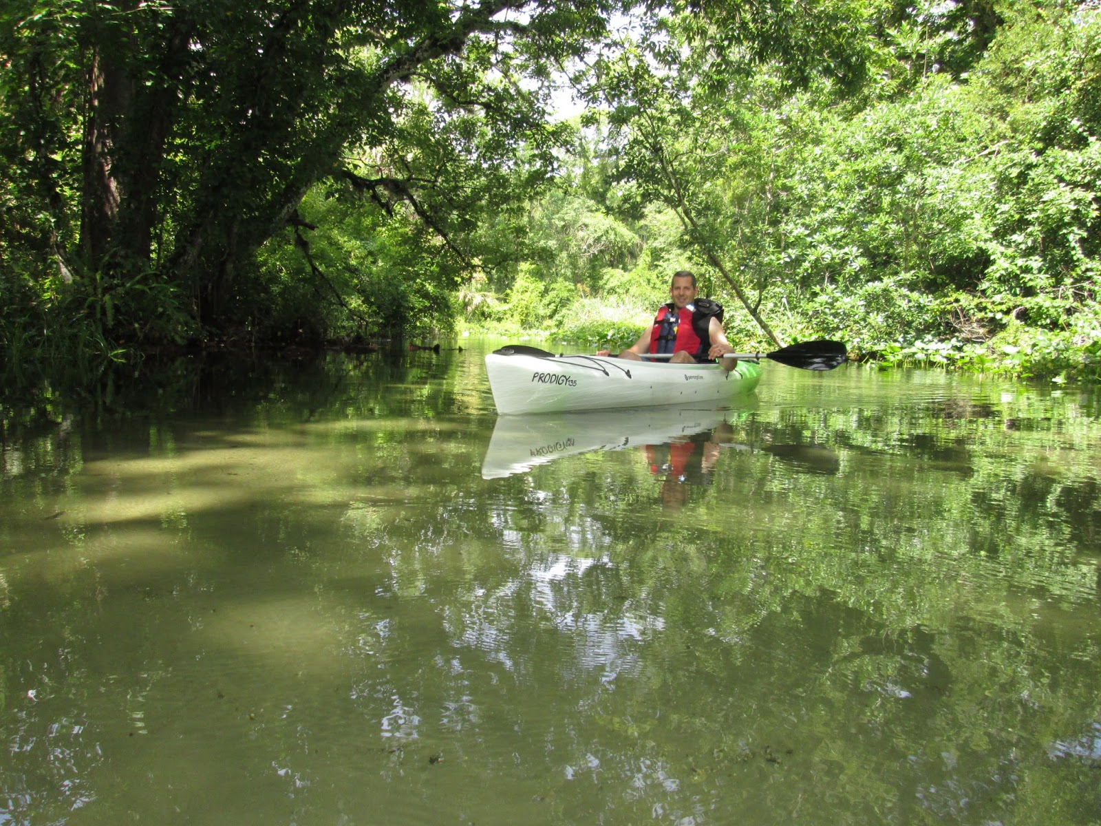 Central Florida Kayak Tours Kayaking Rock Springs Run and Emerald Cut June 3, 2015