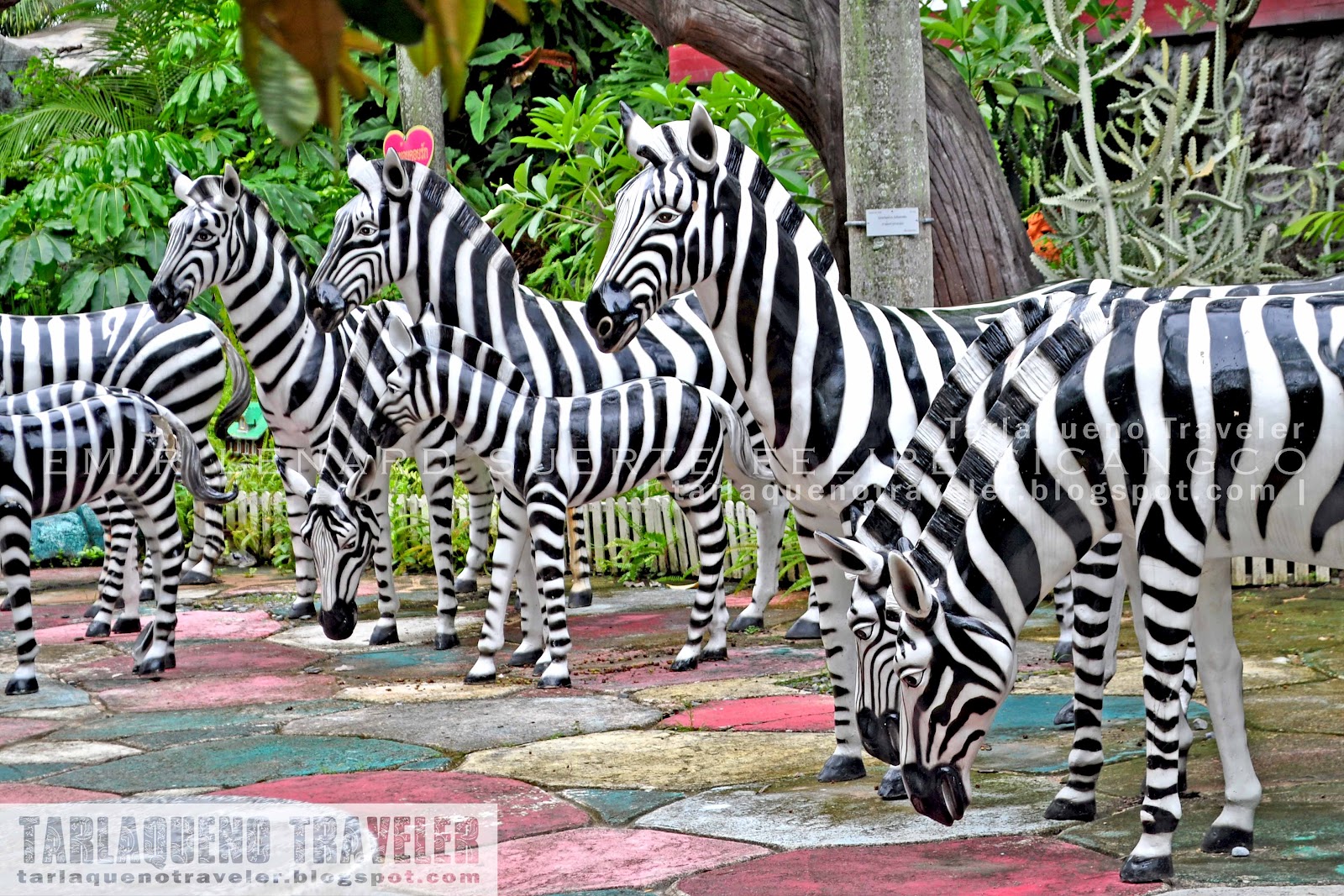 Tarlaqueno Traveler Nong Nooch Tropical Garden
